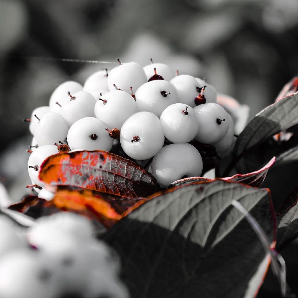 Photograph by Анастасия