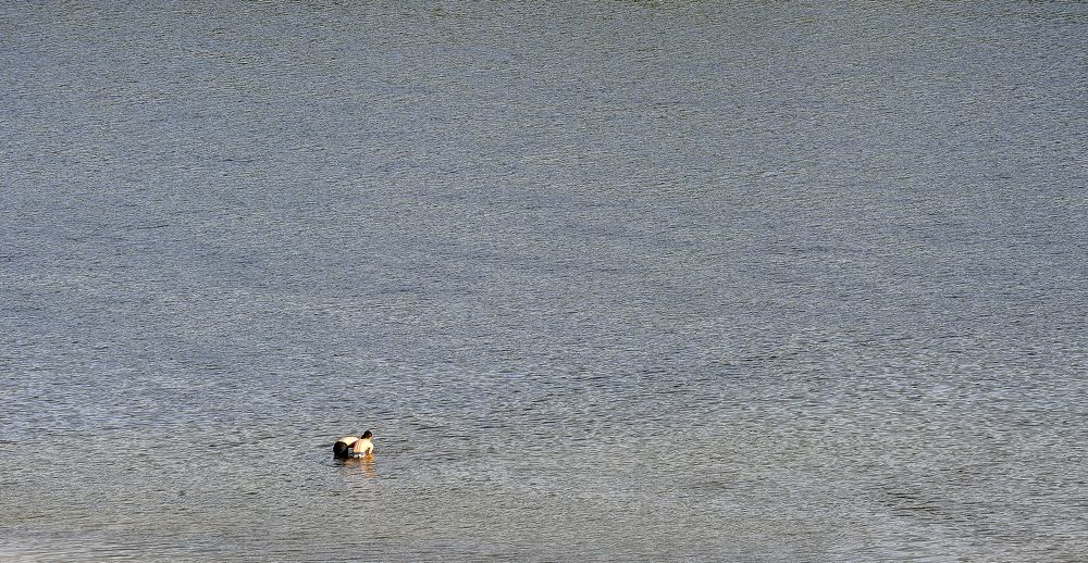 Фотография автора Михаил Пшеннов