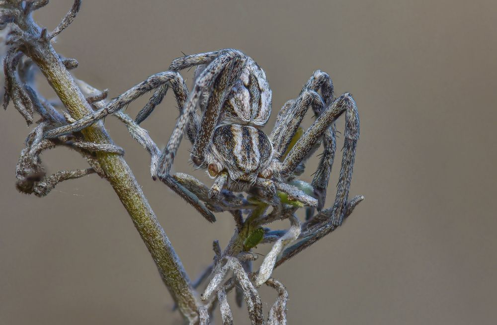 Photograph by Андрей Зимин