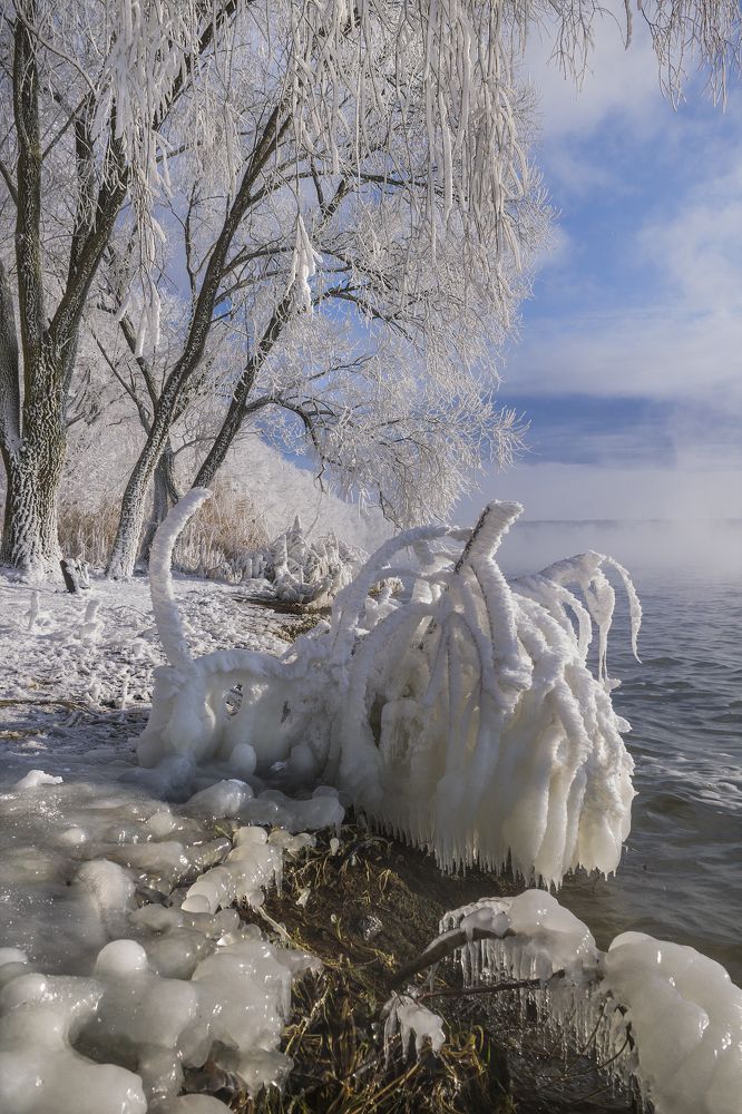 Photograph by Владимир Володин