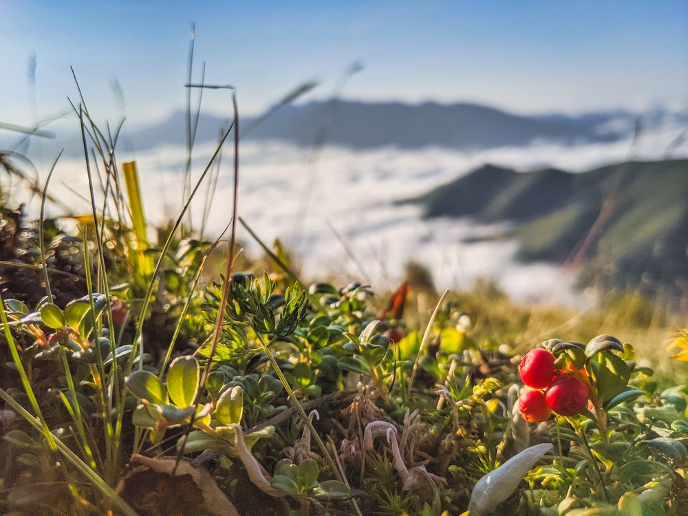 Photograph by Александр Дудников