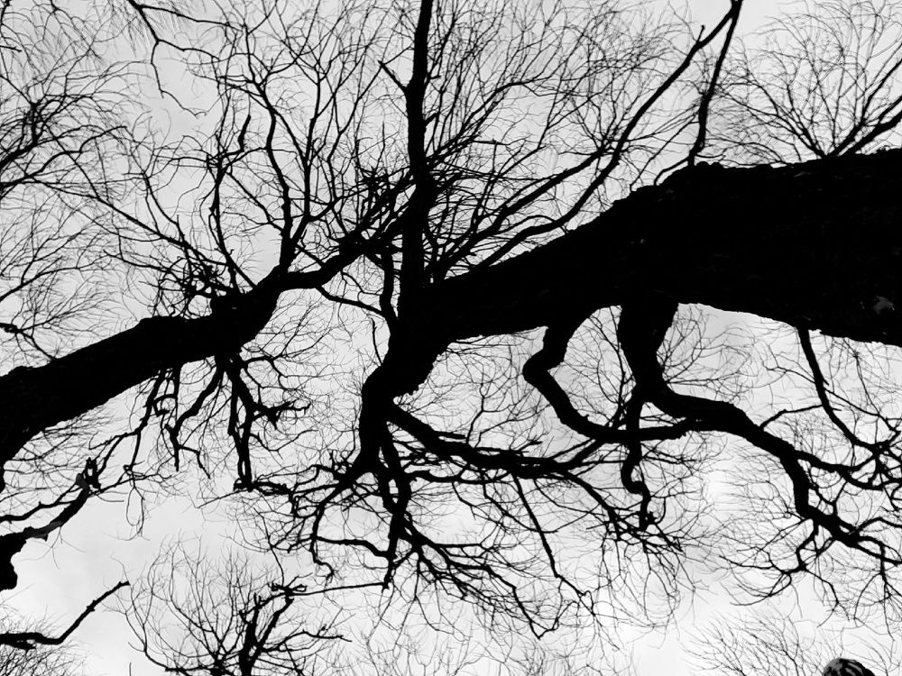 Photograph by Евгения Ульянова