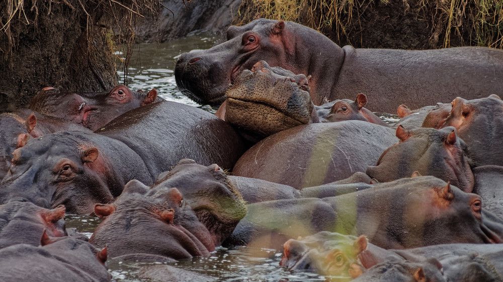 Photograph by Андрей Панин