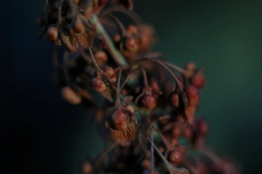 Photograph by Алексей Абратанов