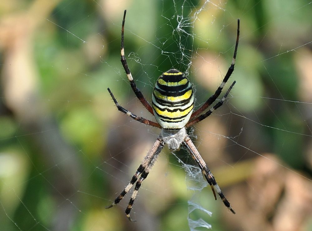 Photograph by Александр Штифман