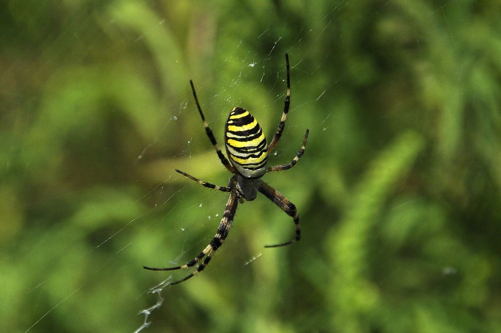 Photograph by Александр Штифман