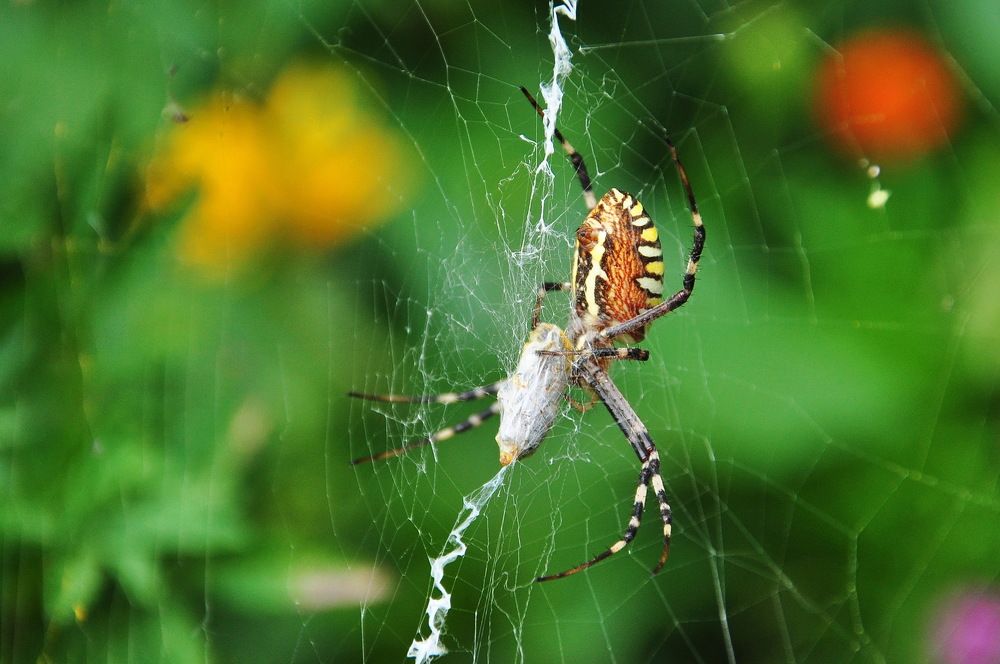 Photograph by Александр Штифман