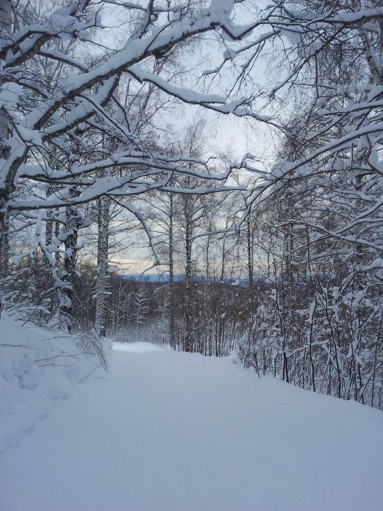 Photograph by Эвелина Бикмурзина