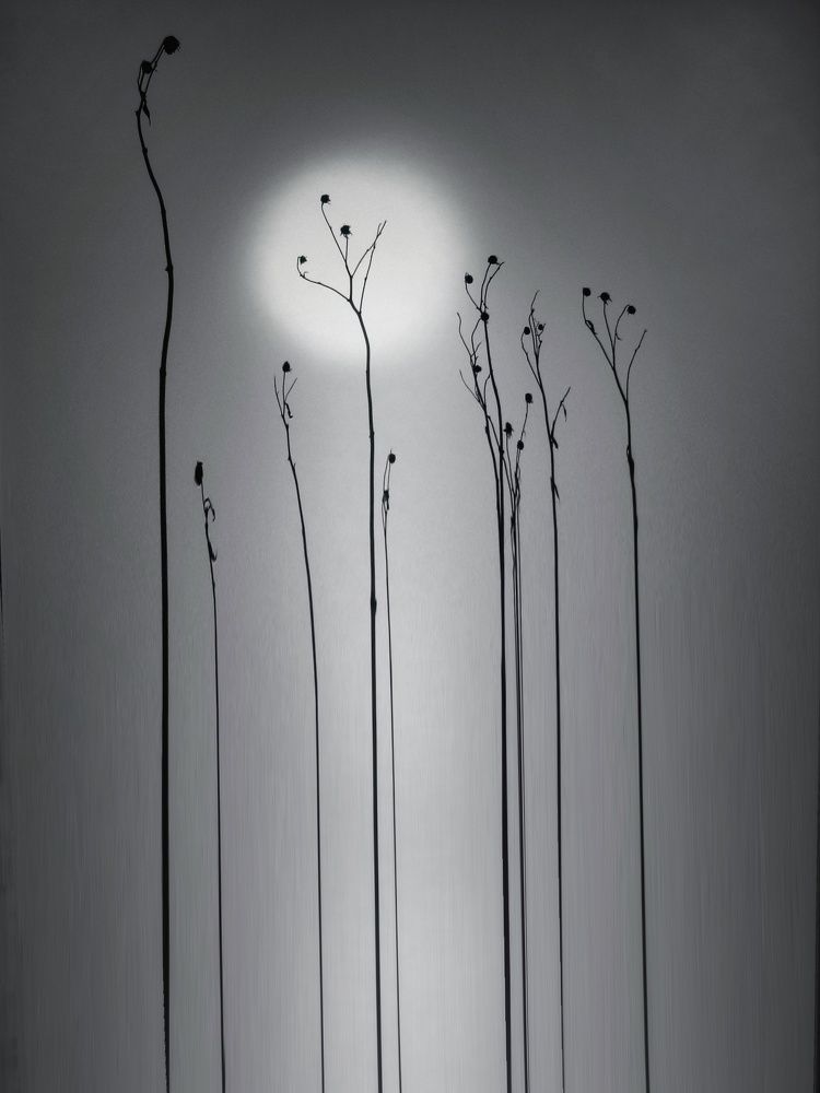 Photograph by Татьяна Максакова