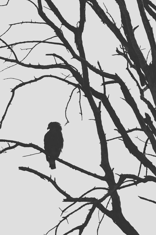 Photograph by Дмитрий Николаев