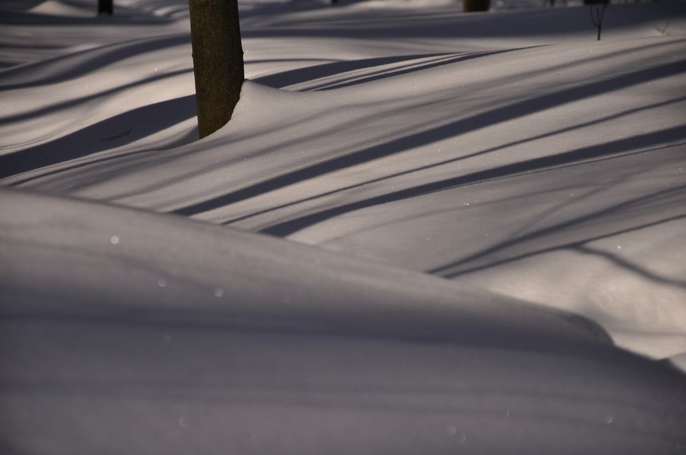 Photograph by Ольга Струкалина