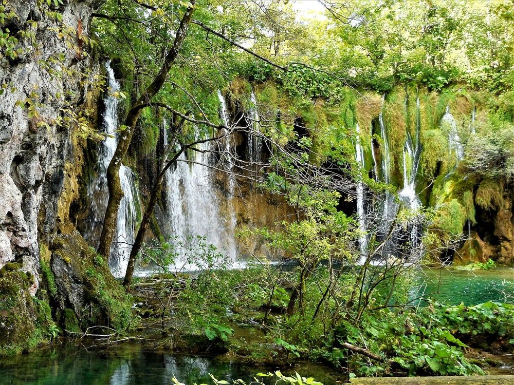 Photograph by Ева К.