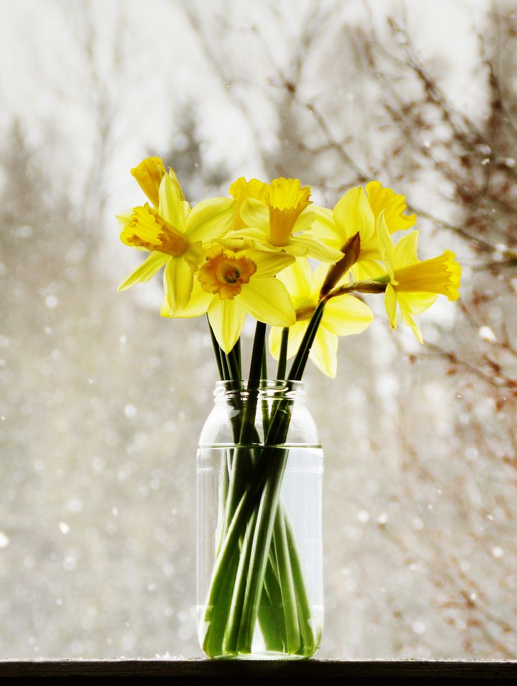 Photograph by Gabriella Szabo