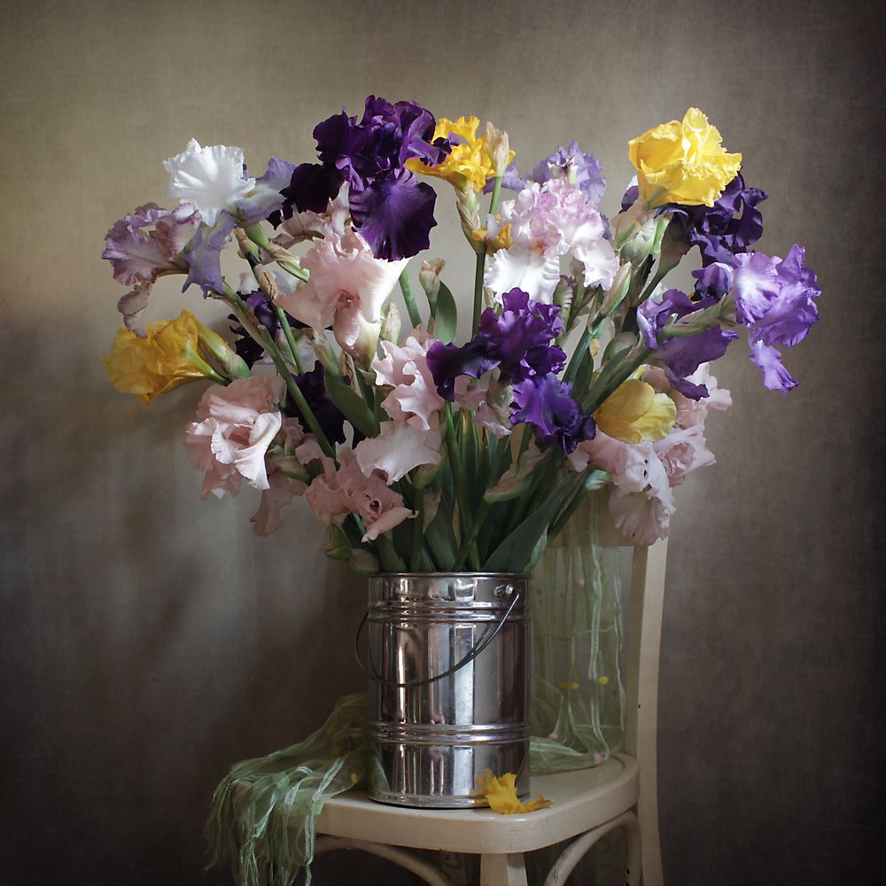 Фотография автора Ганина Галина