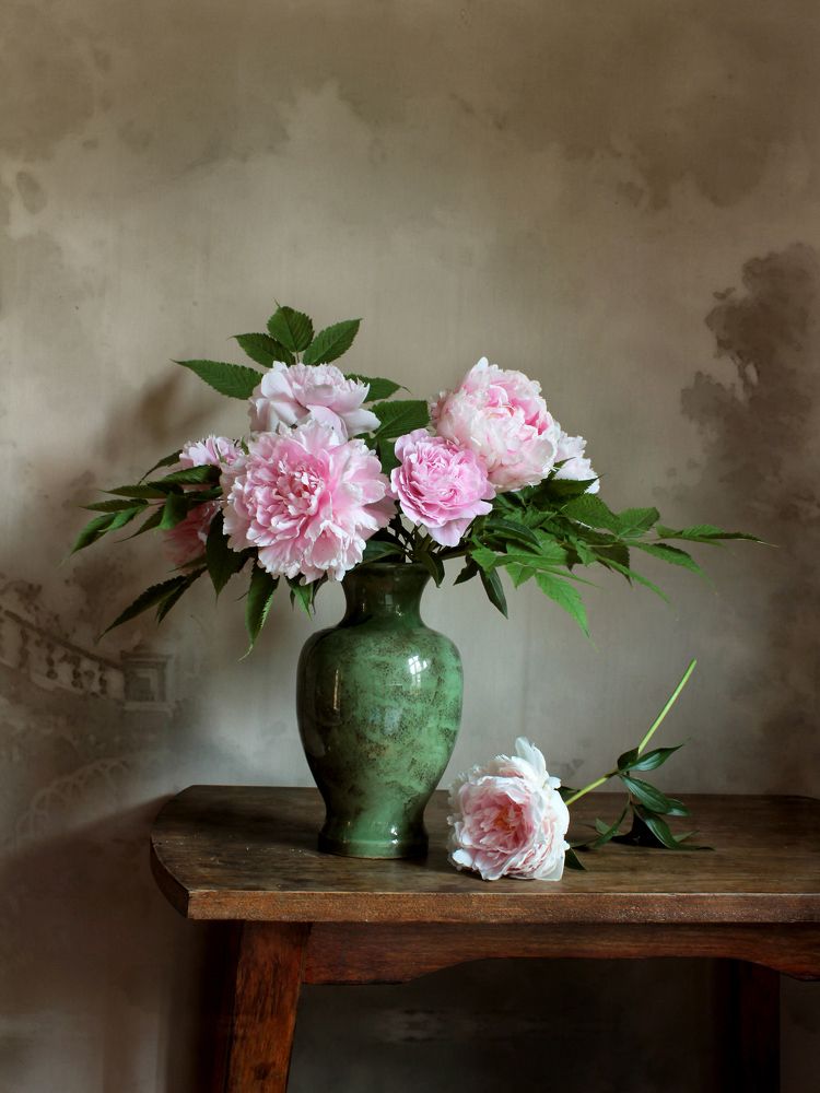 Фотография автора Ганина Галина