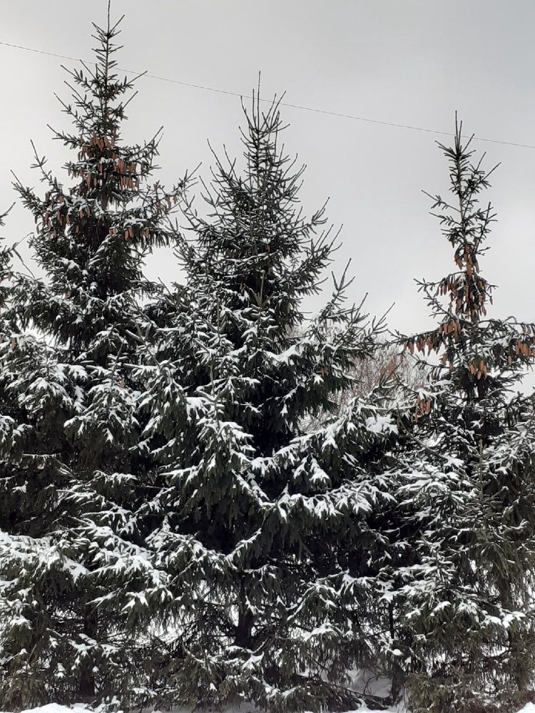 Photograph by Евгения Ульянова