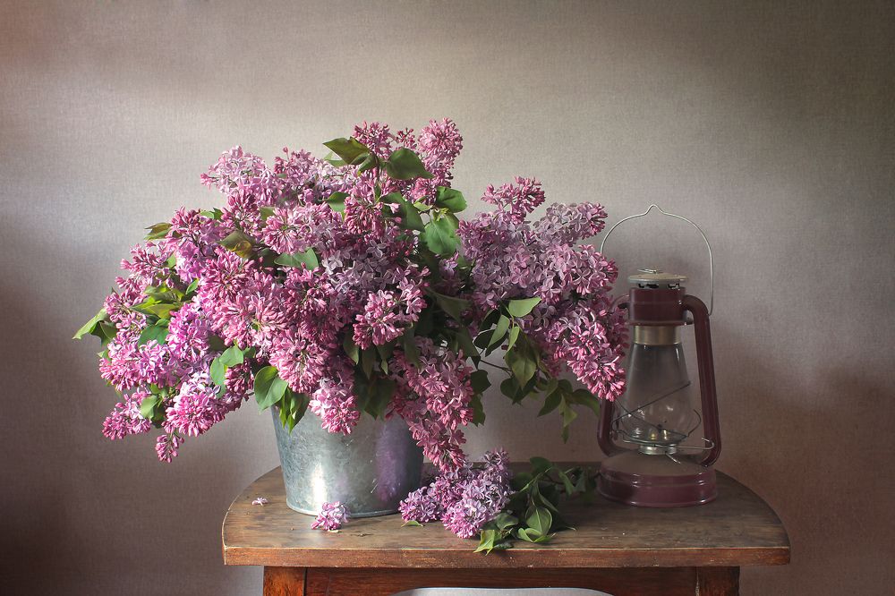 Фотография автора Ганина Галина