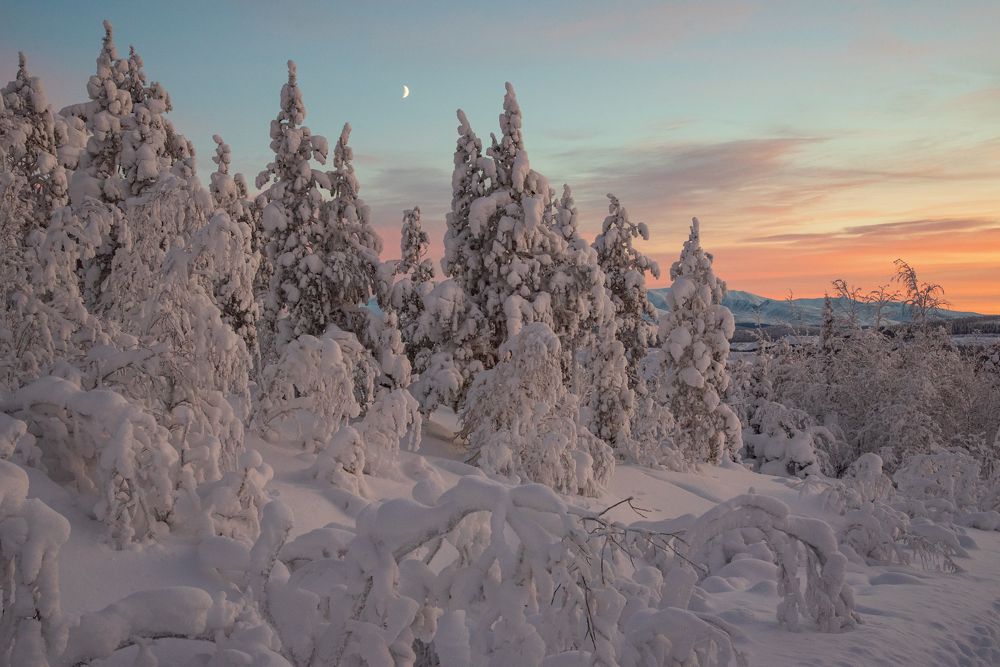 Пробуждающие краски Заполярья...