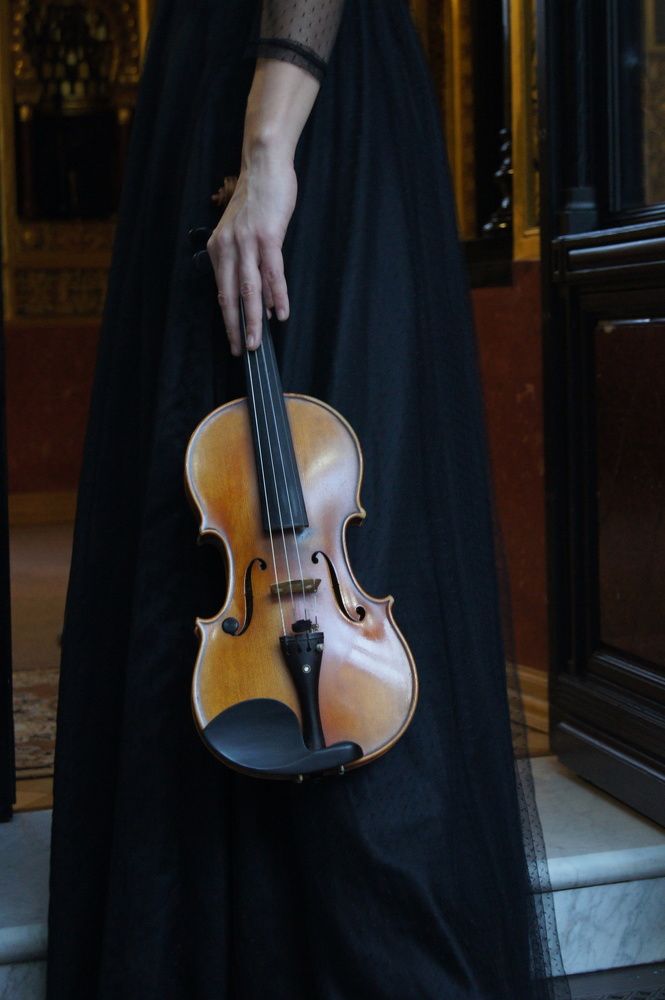 Photo #7115383