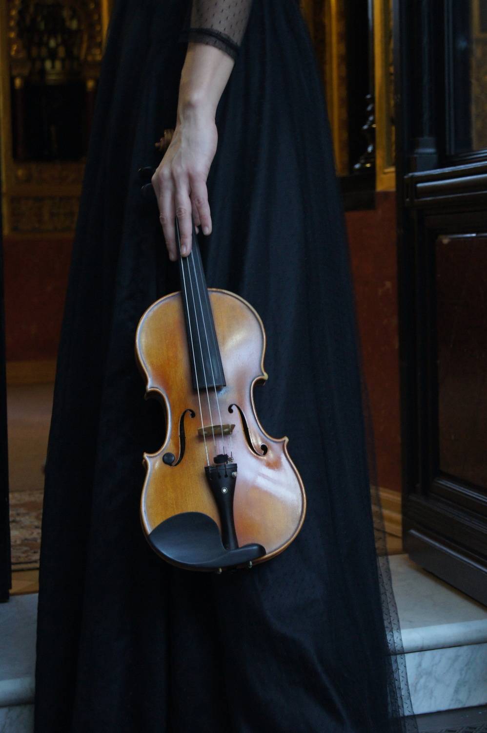 Photo #7115383