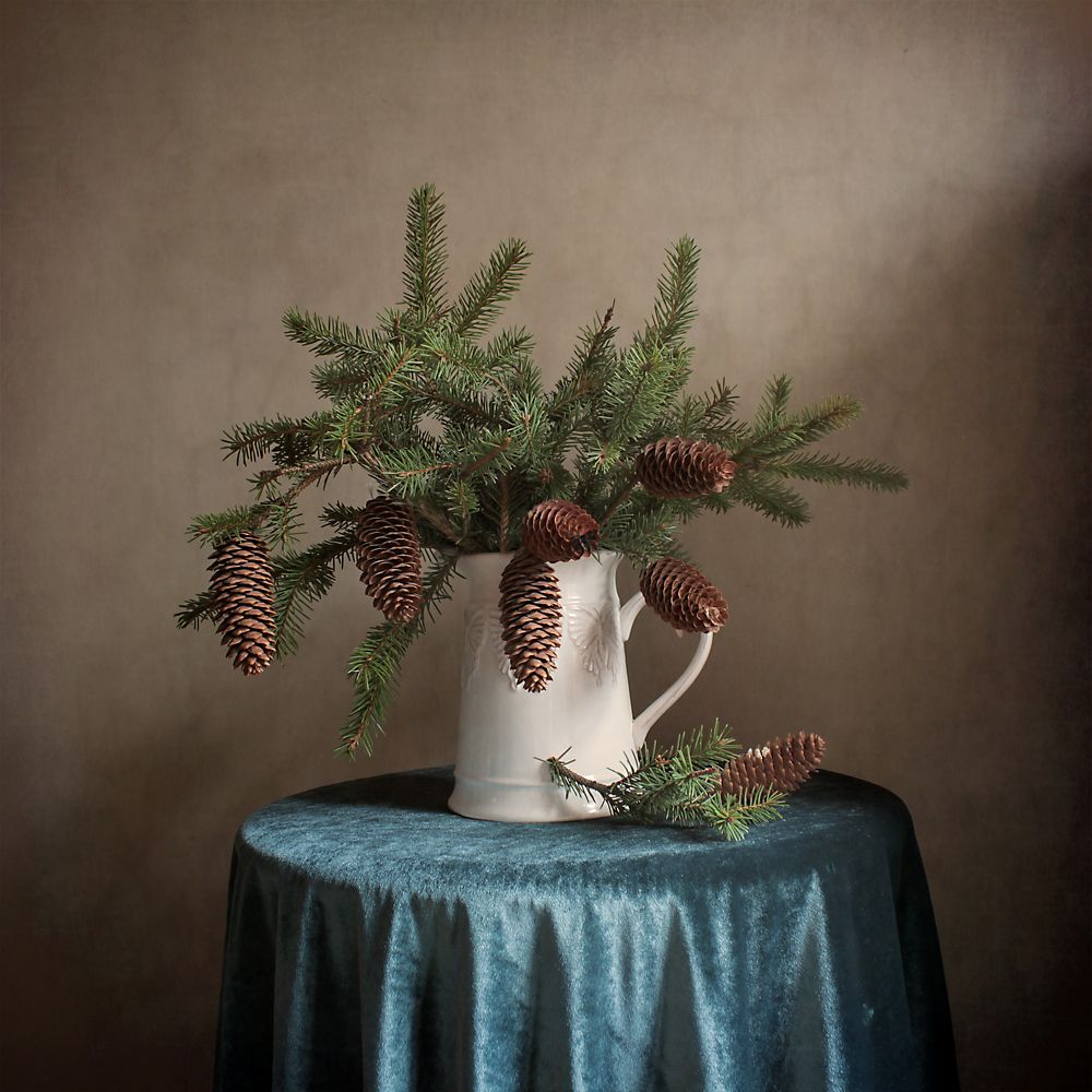 Фотография автора Ганина Галина