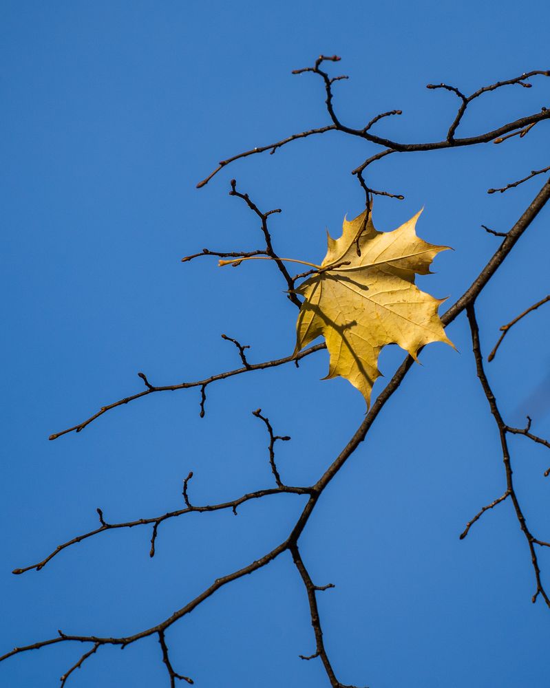 Photograph by Дмитрий Дигилин