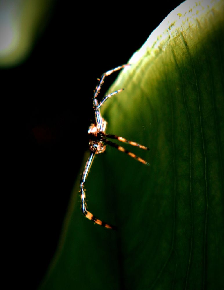 Photograph by Márcio Silva