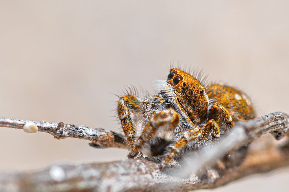 Фотография автора Владислав Жуков