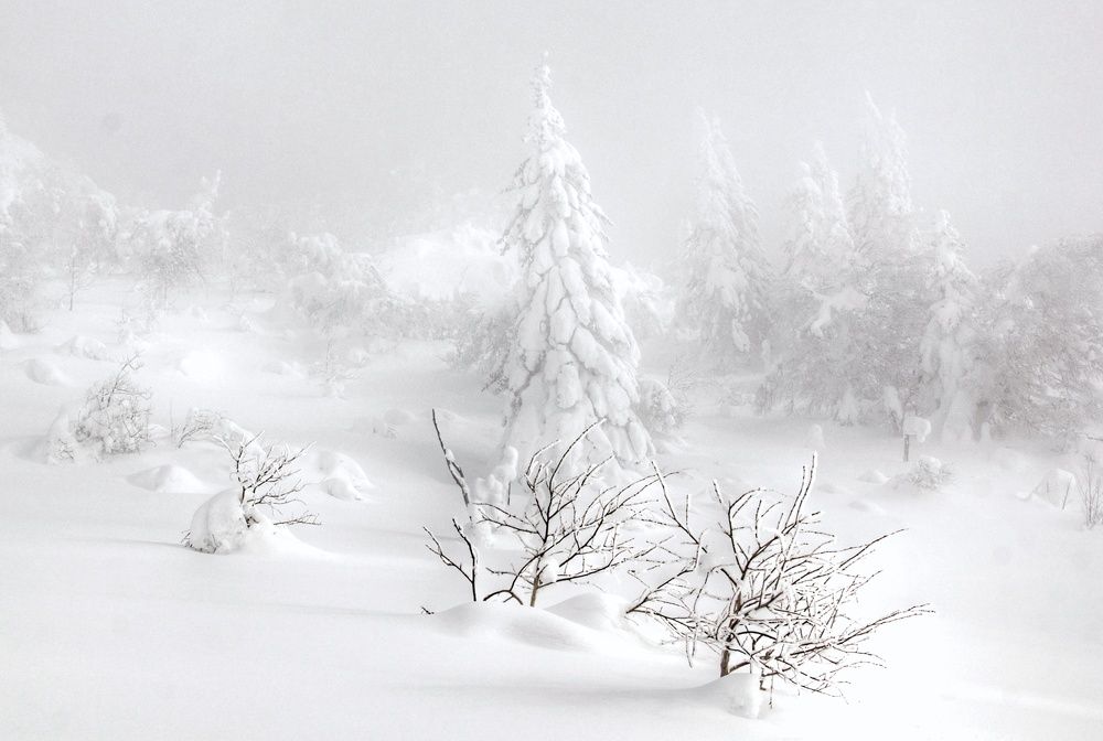 Photograph by Виктория Байкова