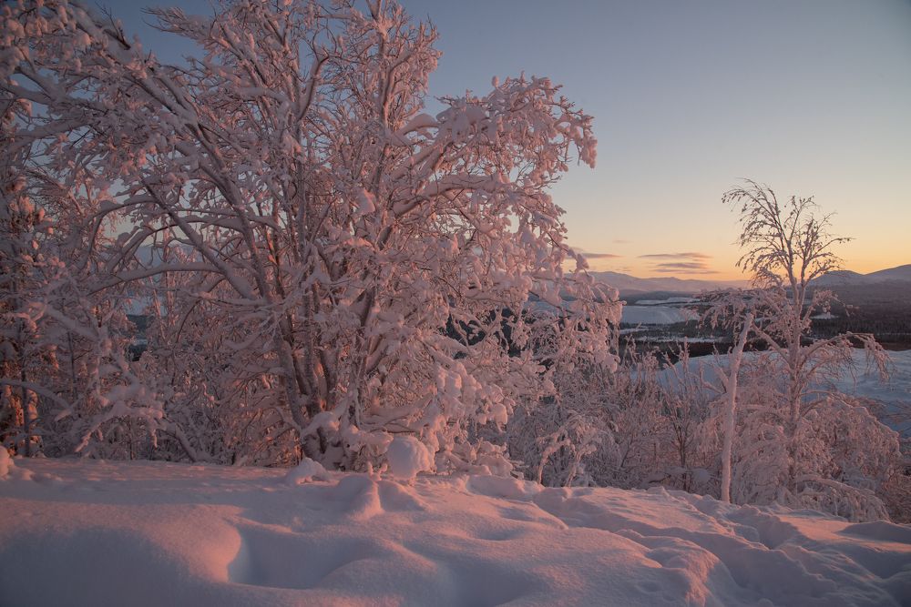 Photograph by Юрий Платухин