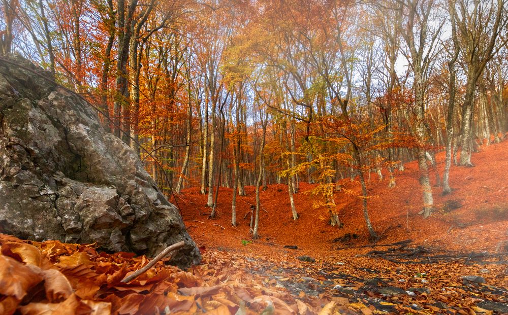 Photograph by Сергей Абашкин