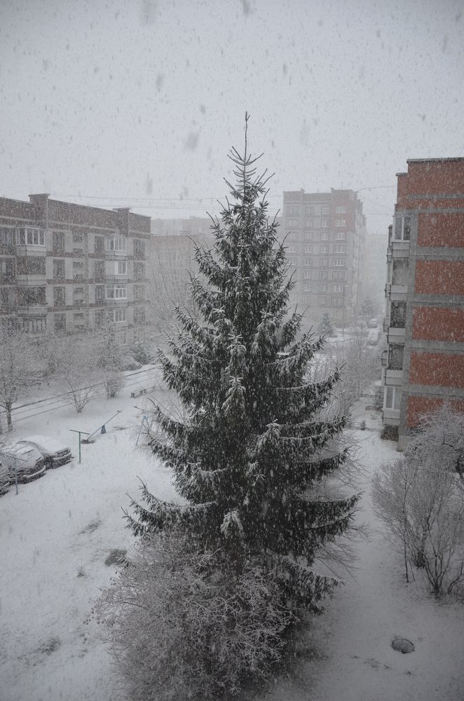 Photograph by Надежда Каравайцева