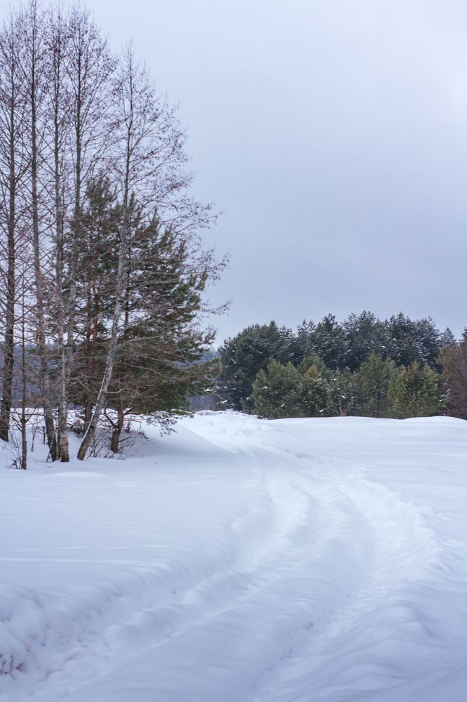 Photograph by Елена