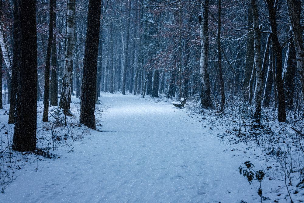 Photograph by Natalja Schleiger