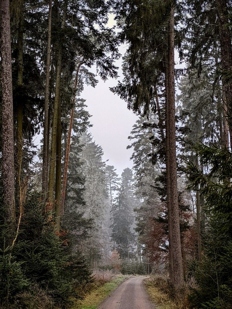 Photograph by Patrick Zeller