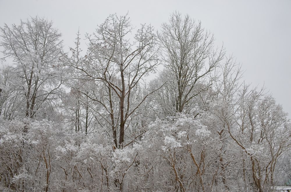 Photograph by Надежда Каравайцева