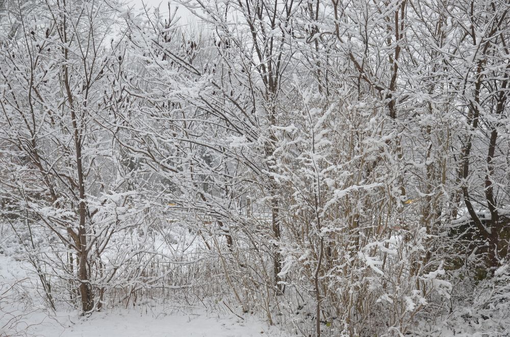 Photograph by Надежда Каравайцева