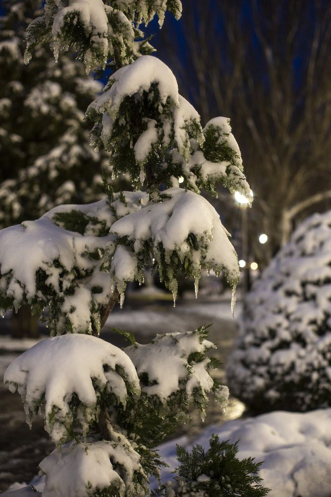 Photograph by Ерохина Светлана Юрьевна