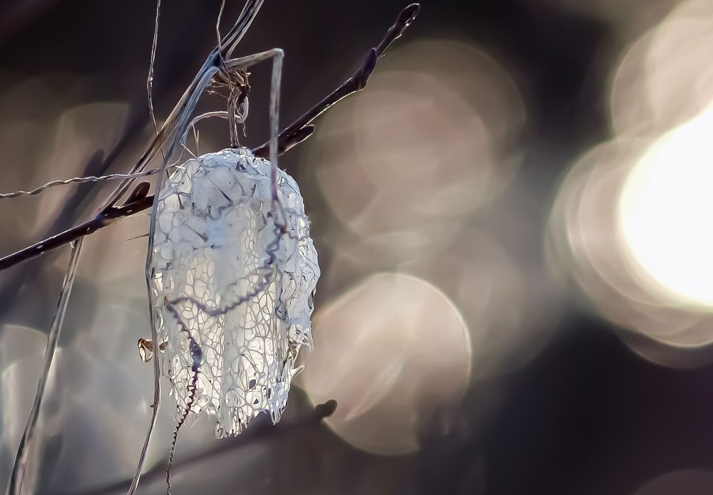 Photograph by Виталий Слёзка