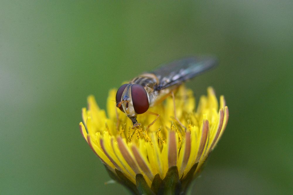 Photograph by Intars Šupiņš