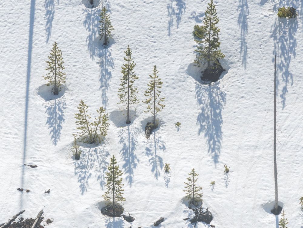 Photograph by Olga Serebryannaya