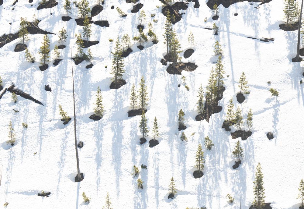 Photograph by Olga Serebryannaya