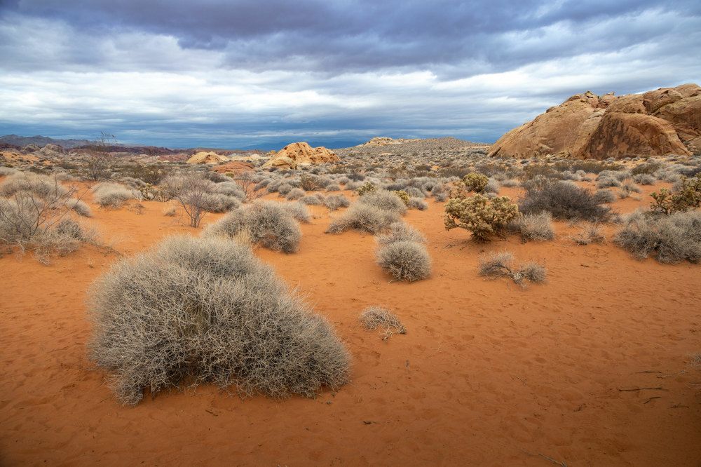 Photograph by Olga Serebryannaya