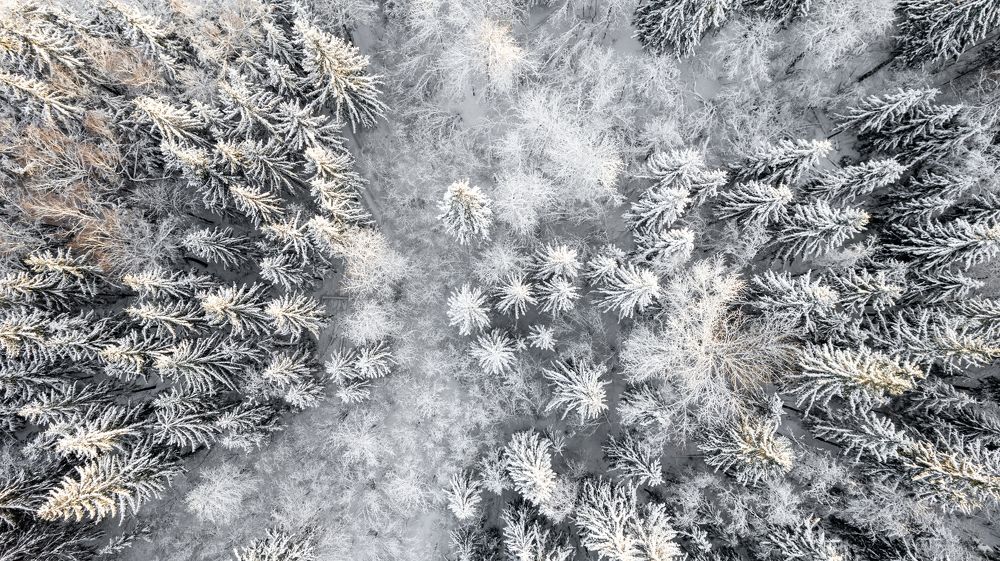 Photograph by Елена Иванова