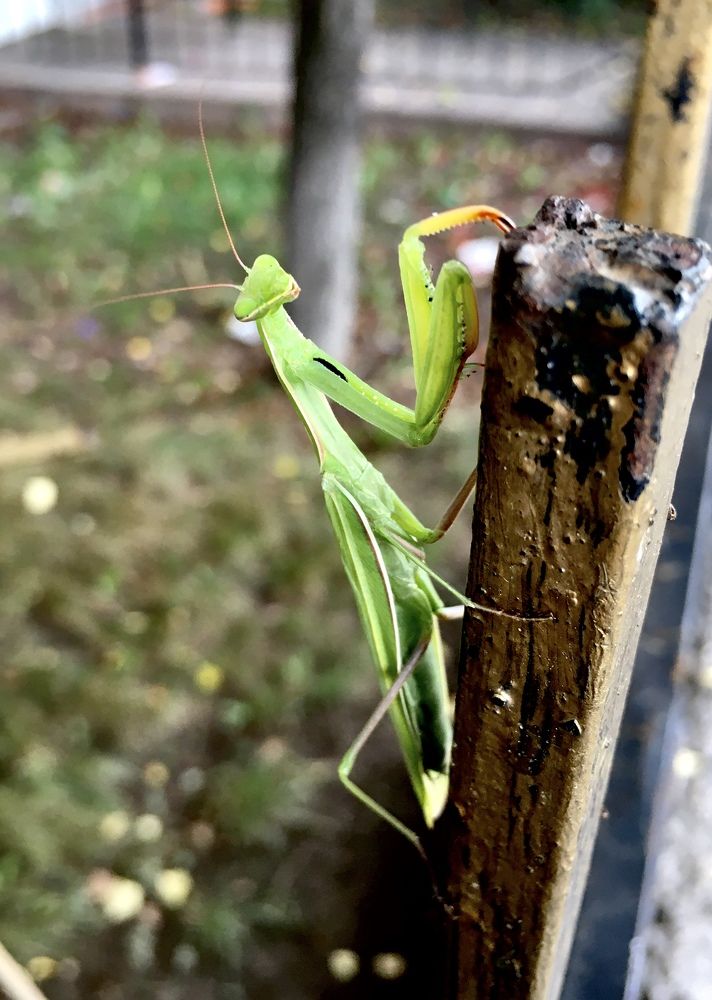 Photograph by Екатерина Бондаренко