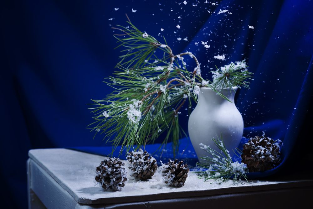 Photograph by Анжелика Королева