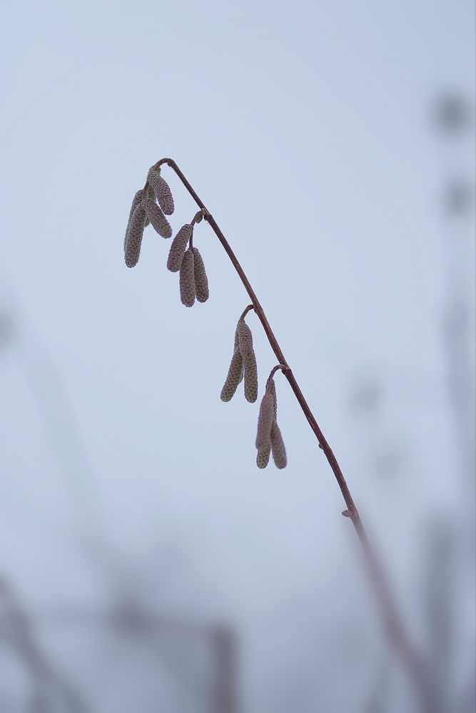 Фотография автора Виктор Конев