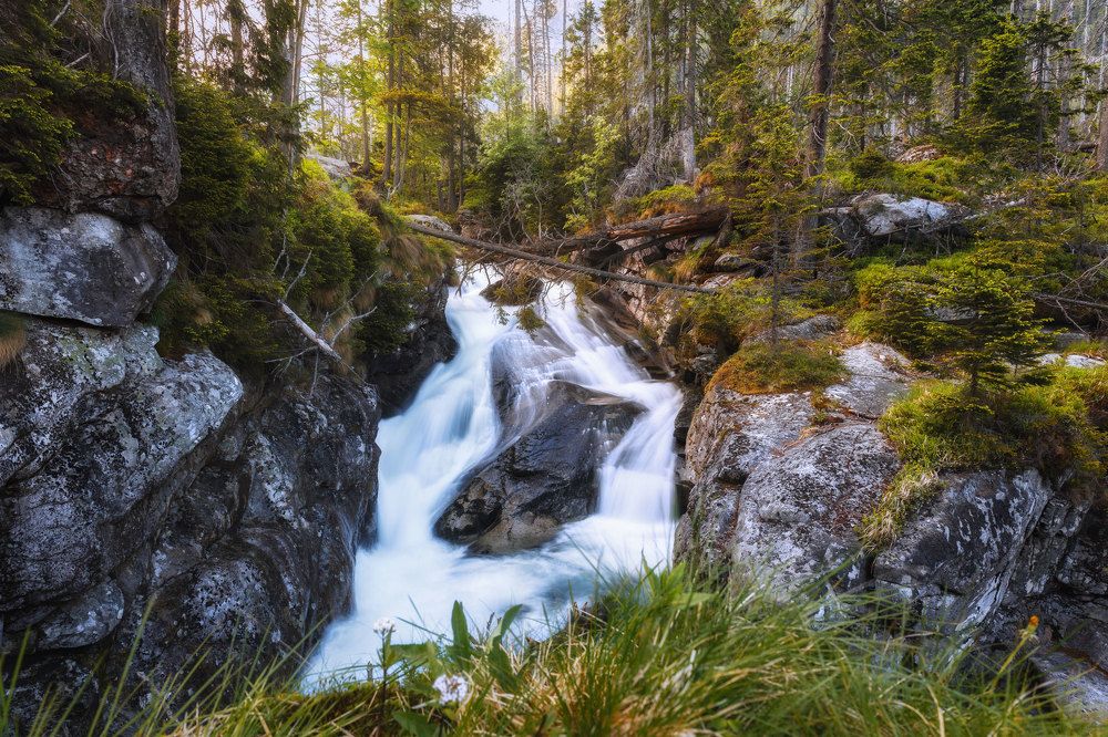 Photograph by Iris Lara