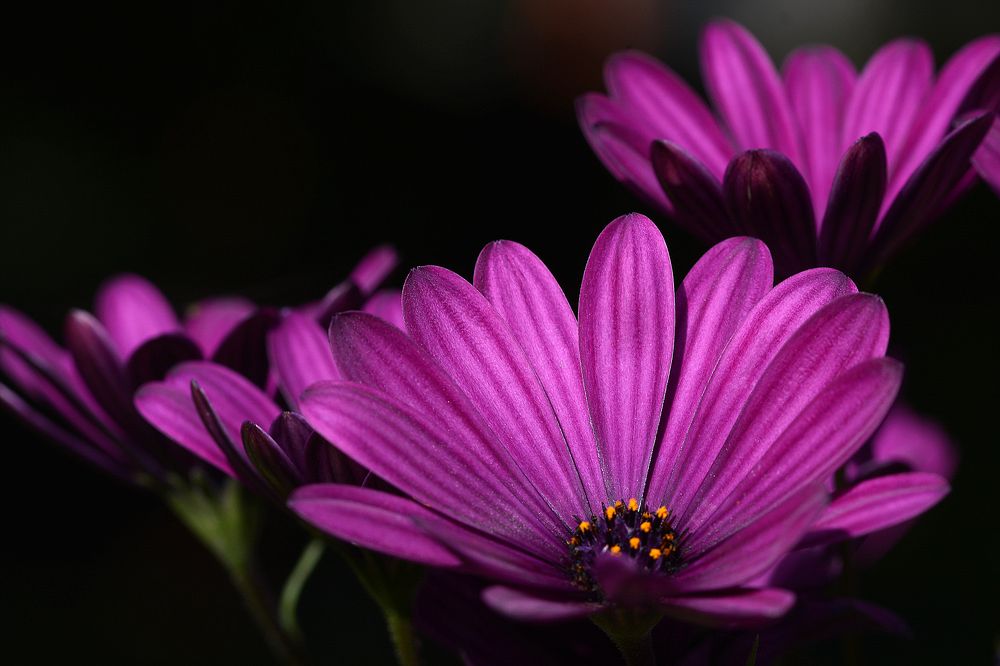 Photograph by Intars Šupiņš