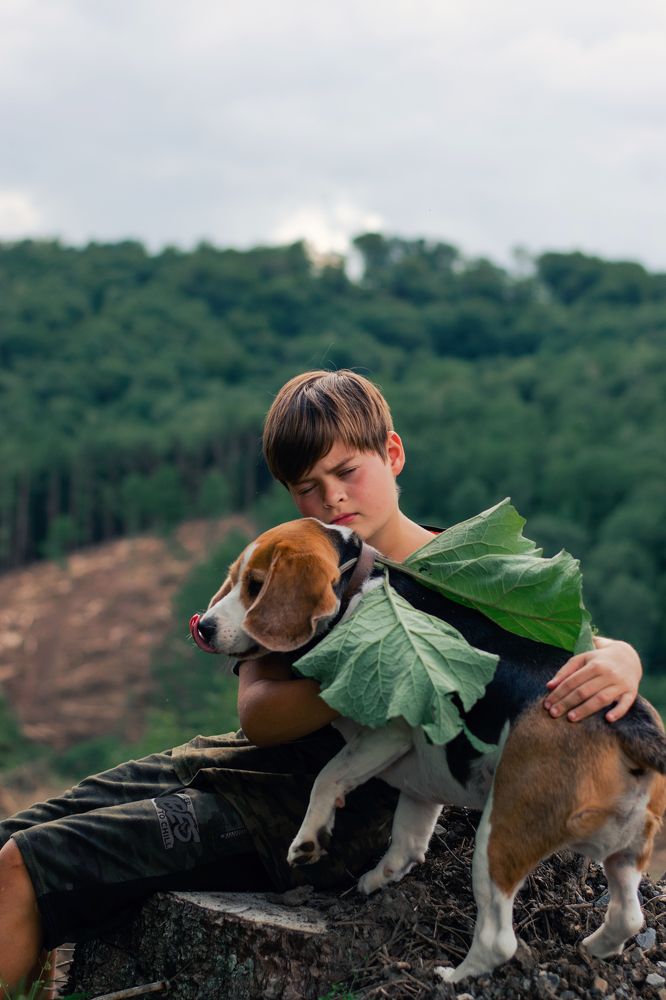 Photograph by Виктория Миллер